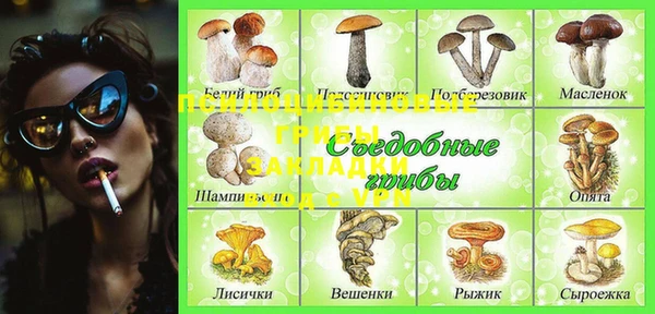 дурь Абаза
